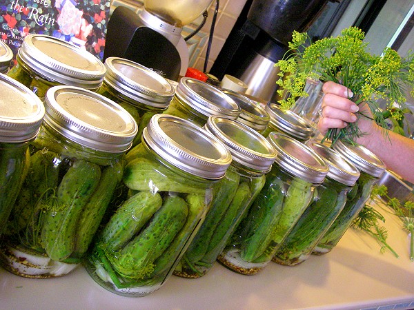 pickles in a jar